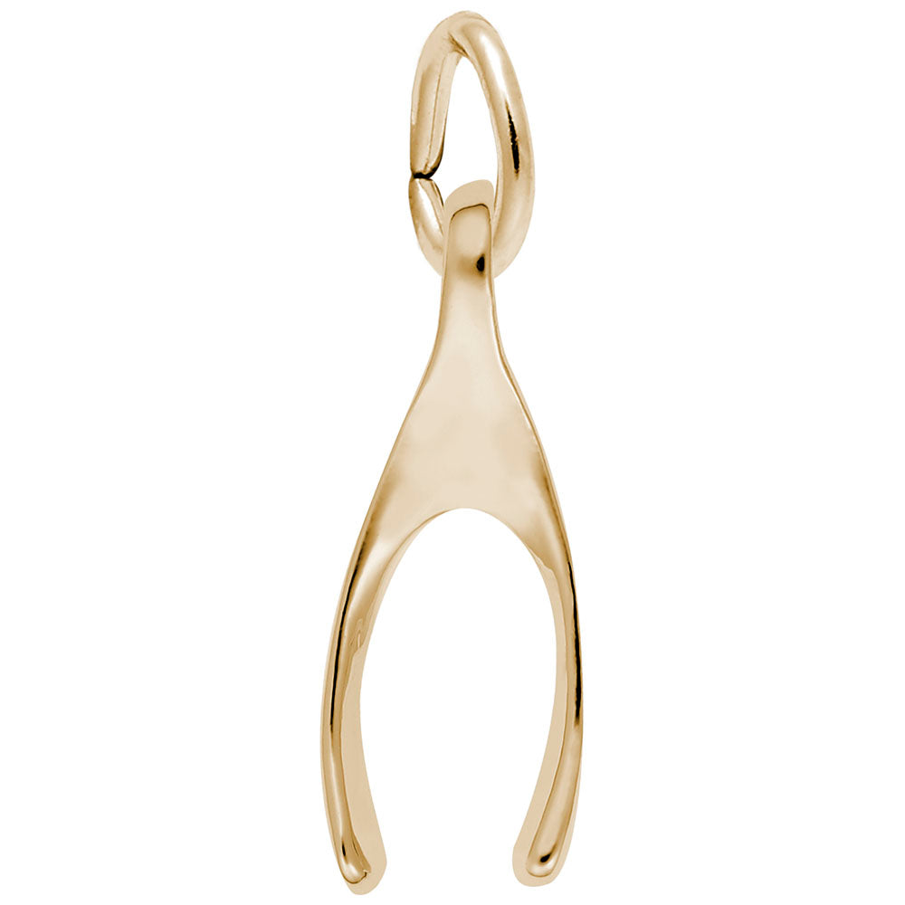 Small Wishbone Charm - View 1