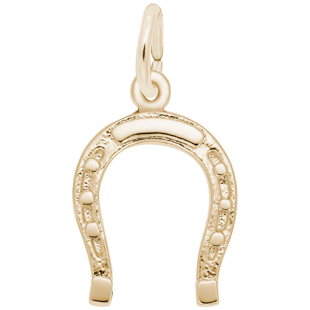 Lucky Horseshoe Charm - View 1