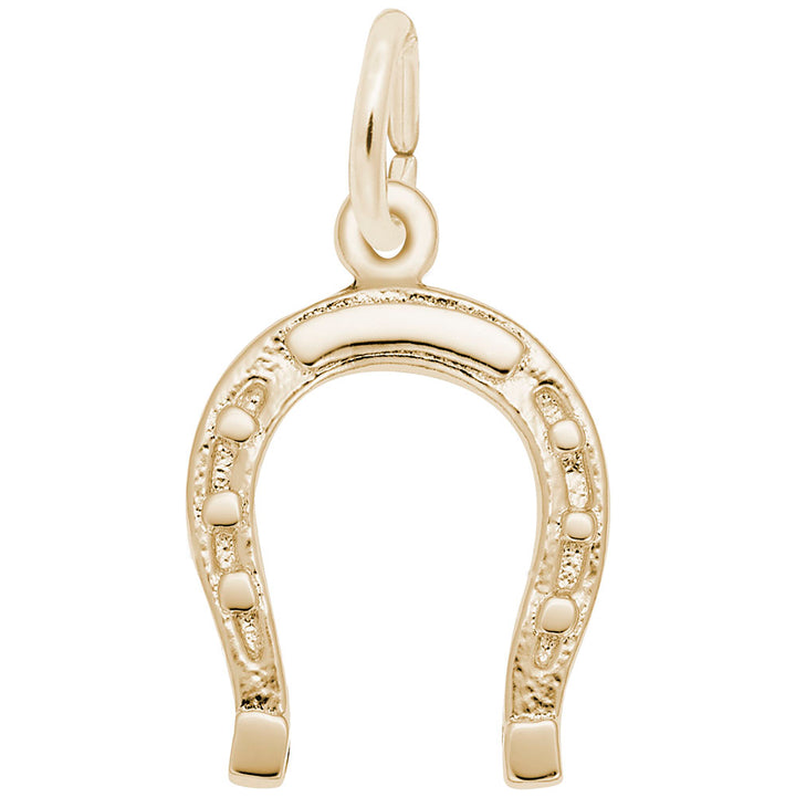 Lucky Horseshoe Charm - View 1