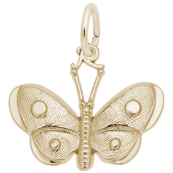 Wings Butterfly Charm - View 1