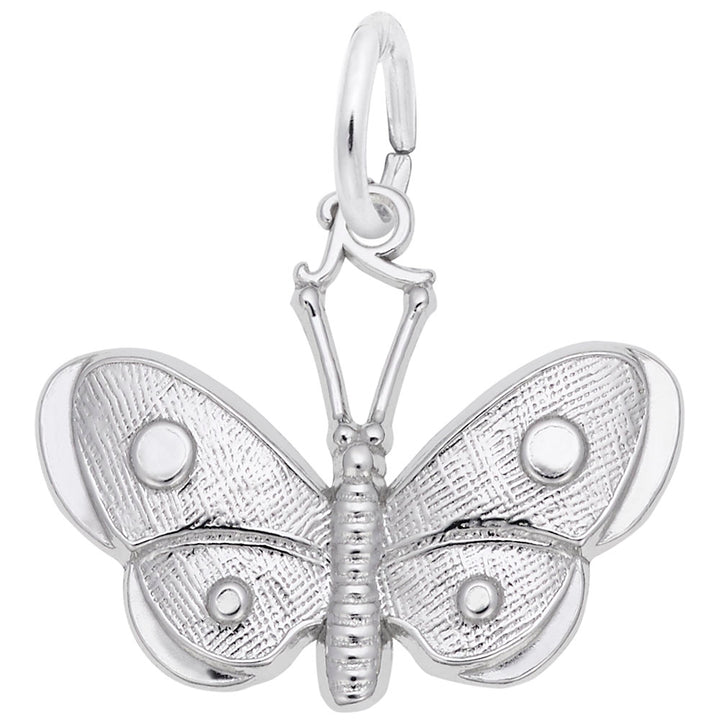Wings Butterfly Charm