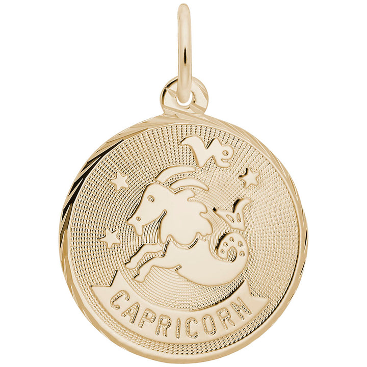Capricorn Constellation Disc Charm - View 1