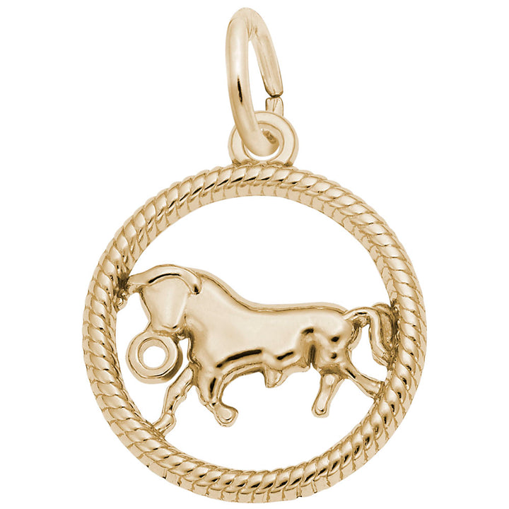 Taurus Zodiac Charm - View 1