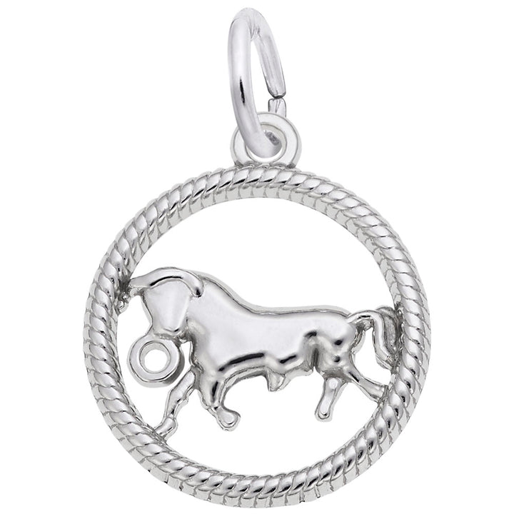 Taurus Zodiac Charm
