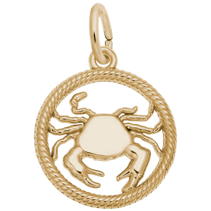 Cancer Zodiac Charm - View 1