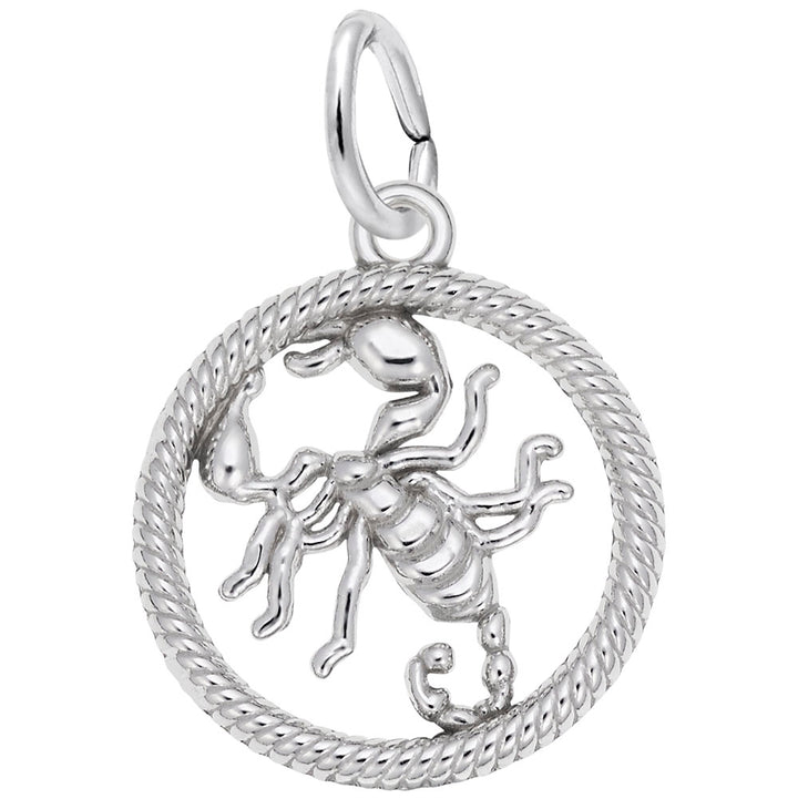 Scorpio Scorpion Charm