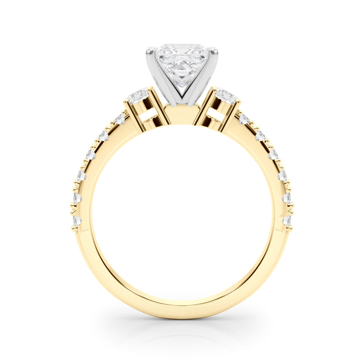 1.00CT 14K Classic Princess Cut Diamond Ring Accented With Additional Diamonds