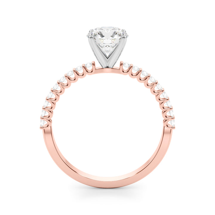 1.00CT 14K  Round Brilliant Cut Diamond With Side Diamonds - View 5