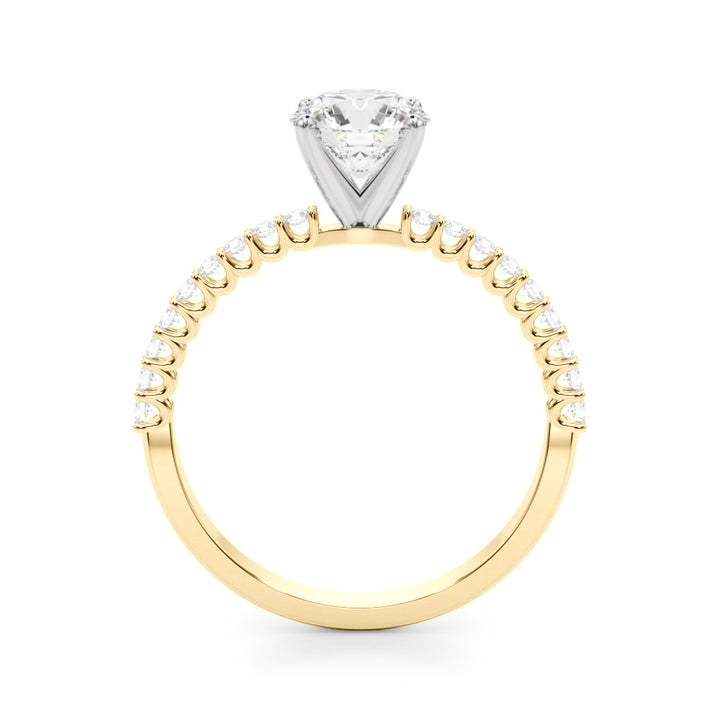 1.00CT 14K  Round Brilliant Cut Diamond With Side Diamonds - View 3