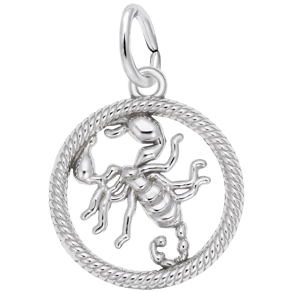 Scorpio Scorpion Charm