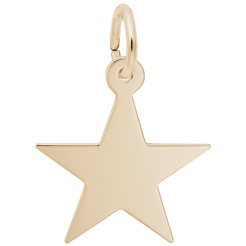 Star Charm - Charms - Design Jewellers Edmonton