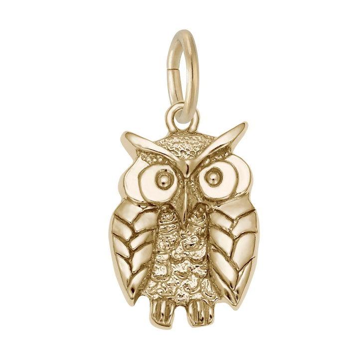 Sterling Silver Wise Owl Charm Pendant - Initial Necklace or Pendant - Design Jewellers Edmonton