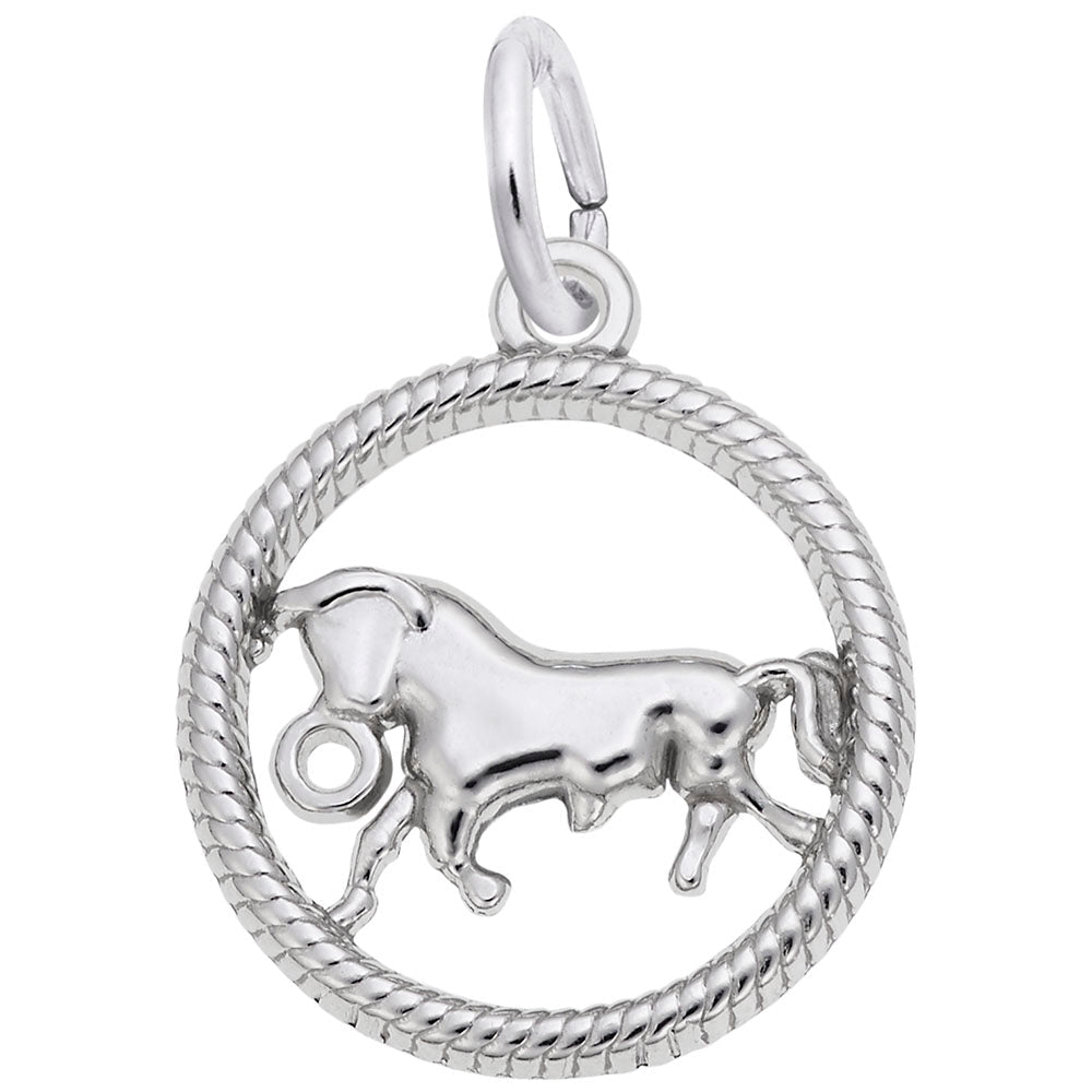 Taurus Zodiac Charm